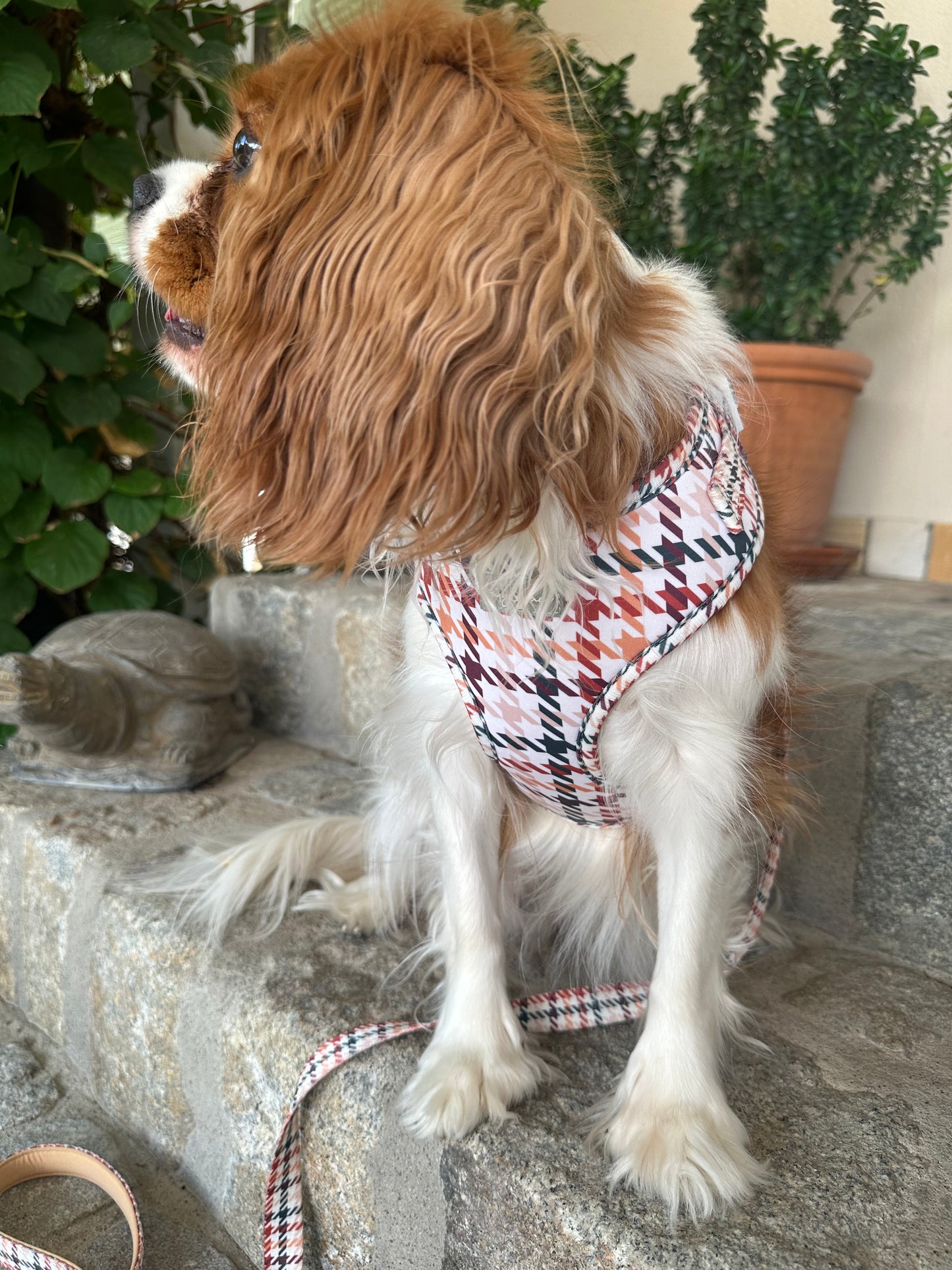Adjustable Harness - Classic Hound