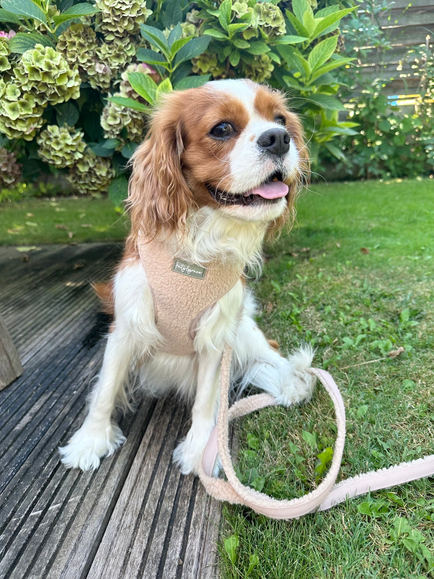 Adjustable Harness - Cozy Teddy warm sand