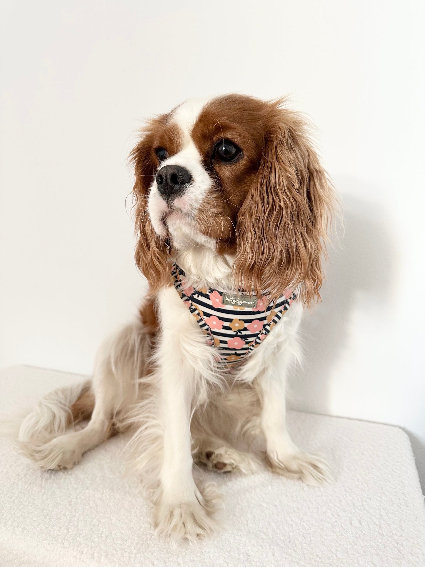 Adjustable Harness - Katy&Grace