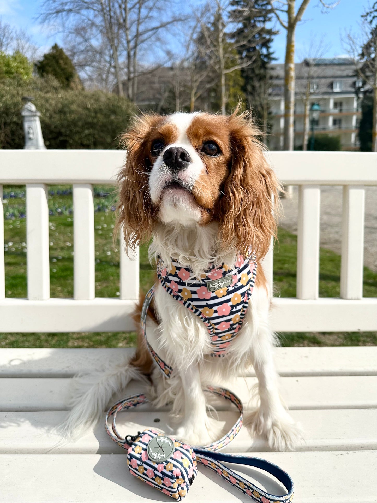 Adjustable Harness - Katy&Grace