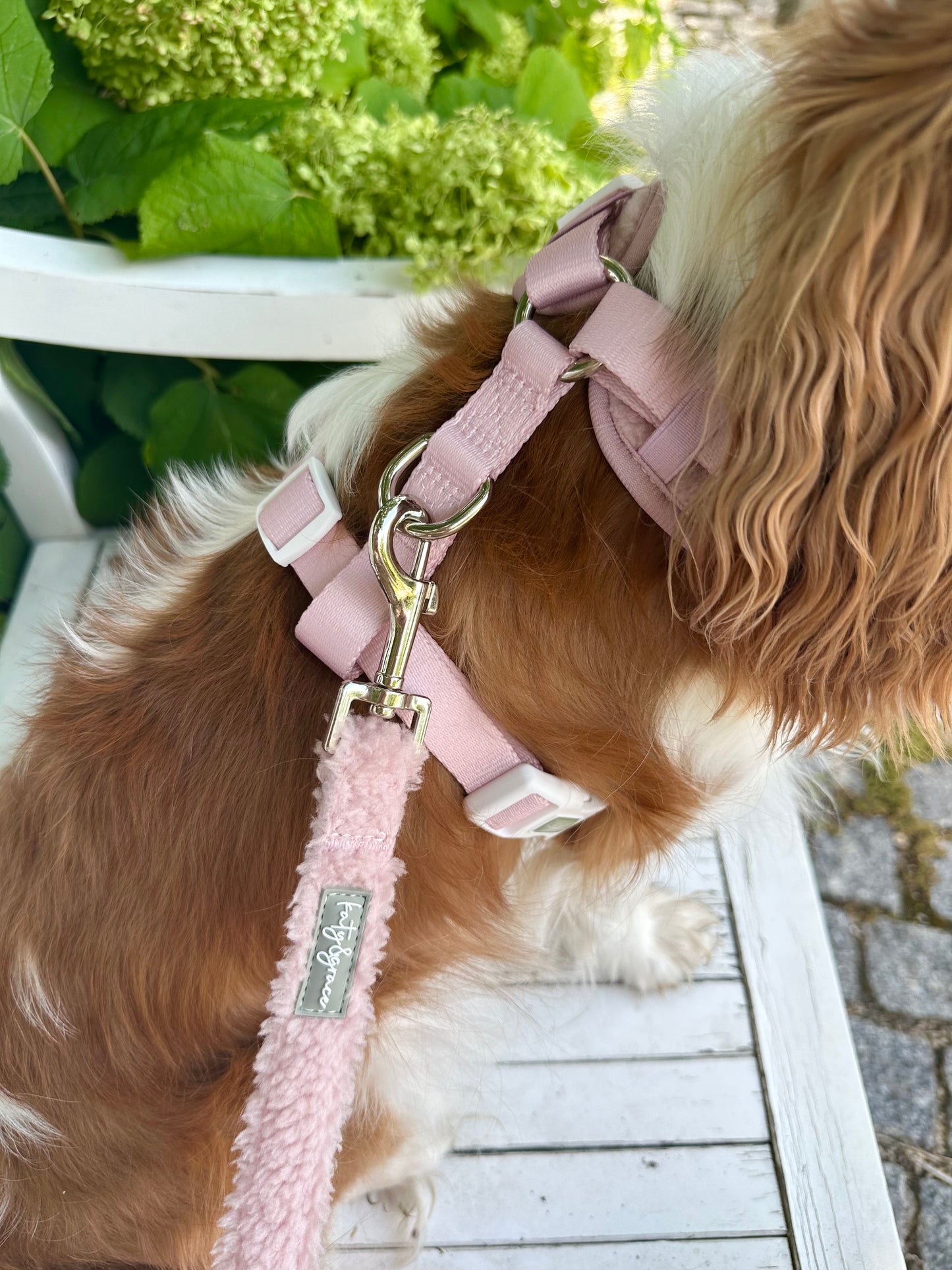 Adjustable Harness - Cozy Teddy dusty rose
