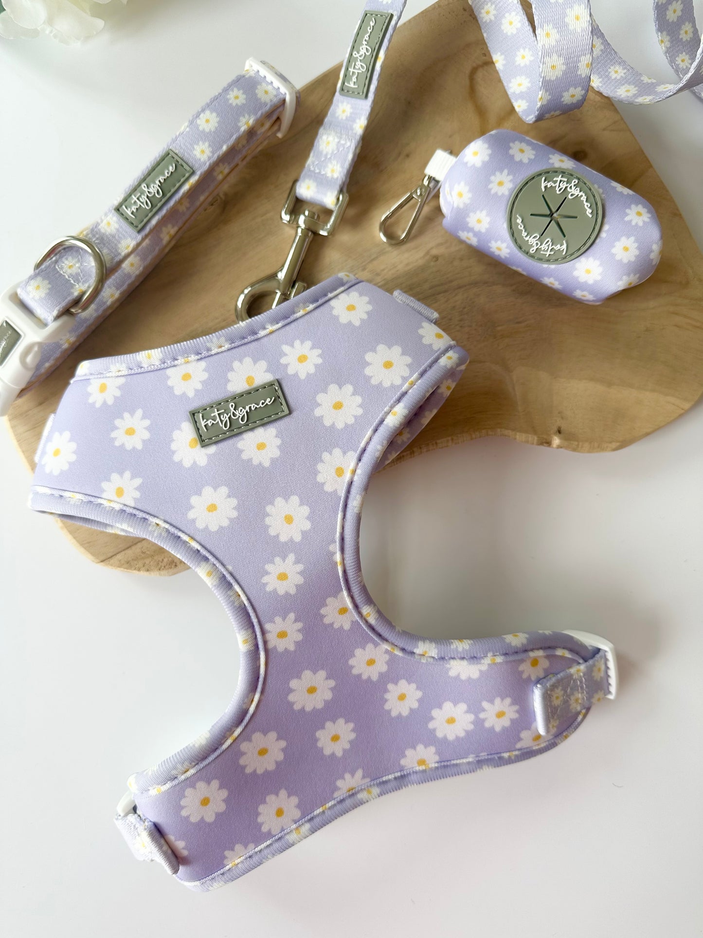 Set Lilac Daisy