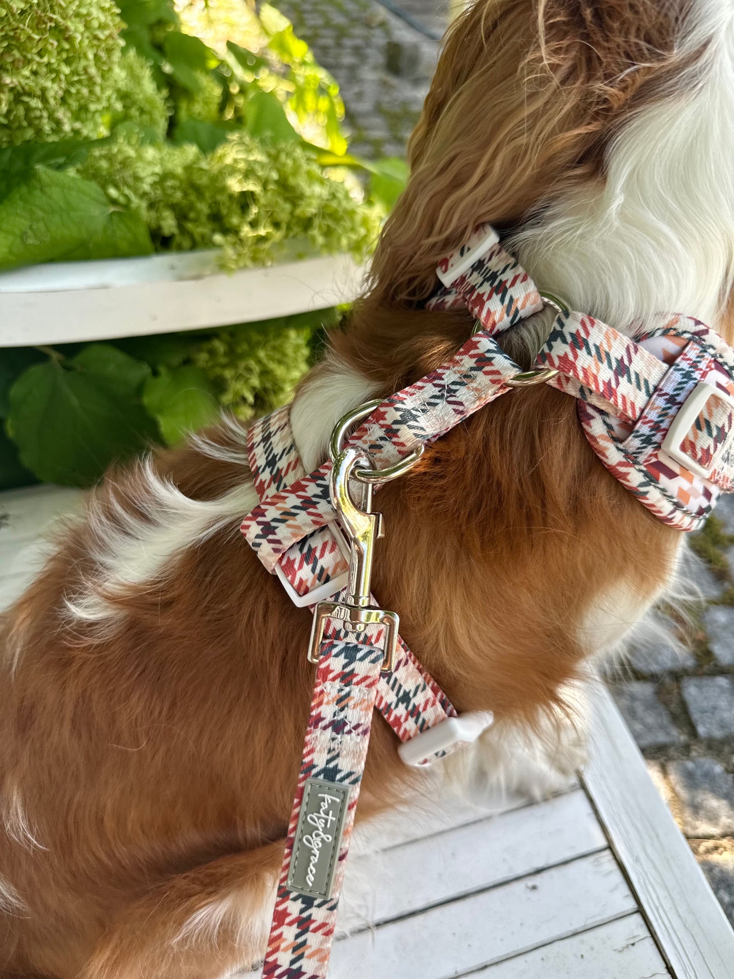 Adjustable Harness - Classic Hound