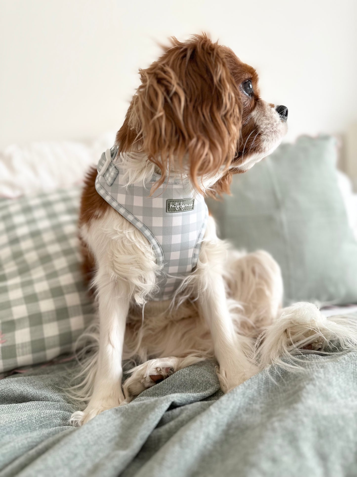 Adjustable Harness - Countryside