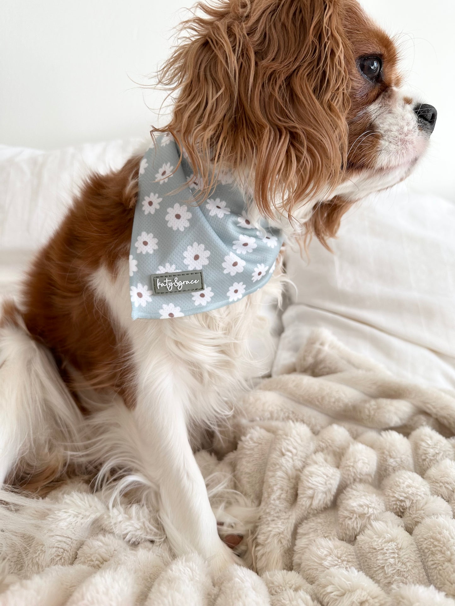 Bandana - Sage Daisy