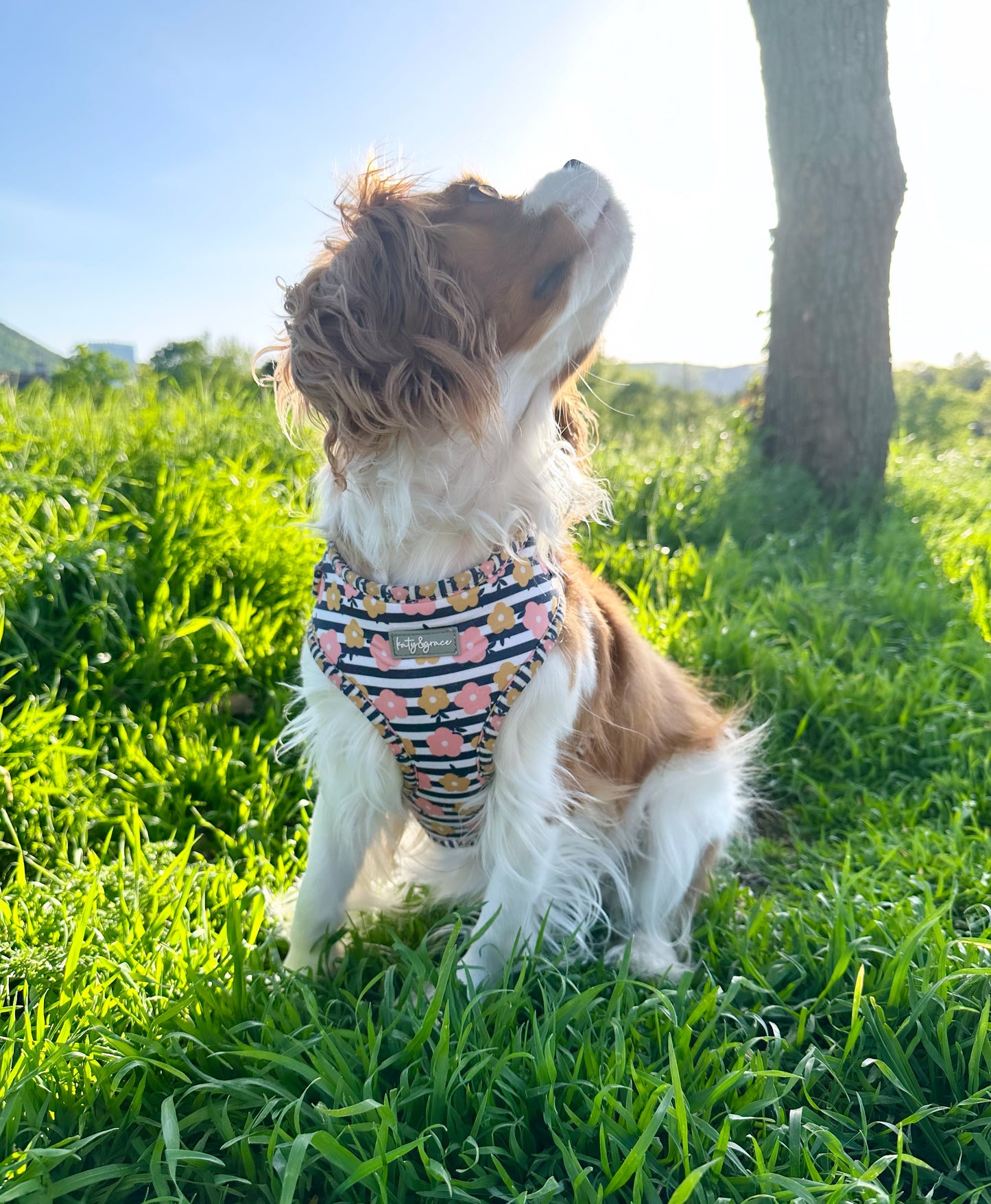 Adjustable Harness - Katy&Grace