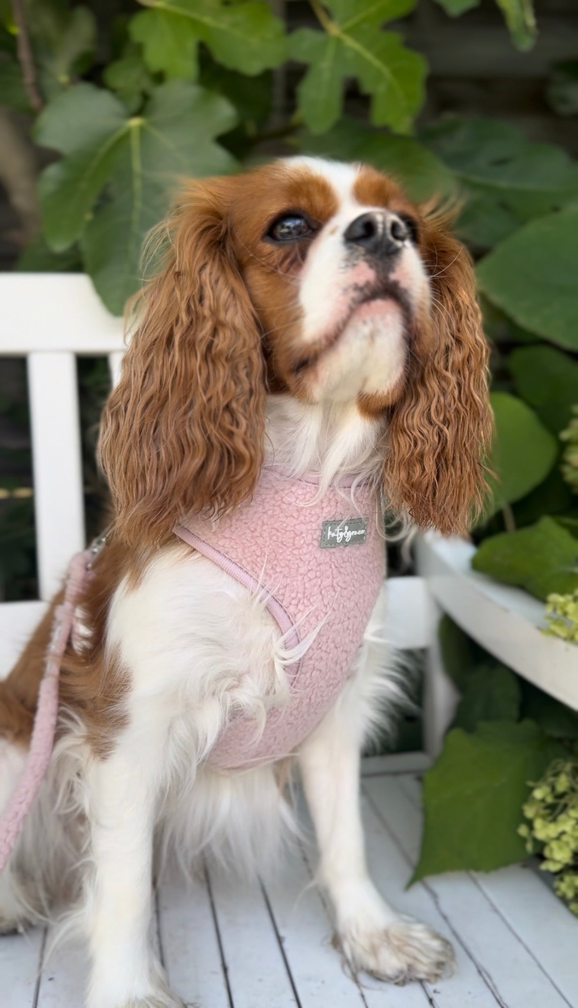 Adjustable Harness - Cozy Teddy dusty rose