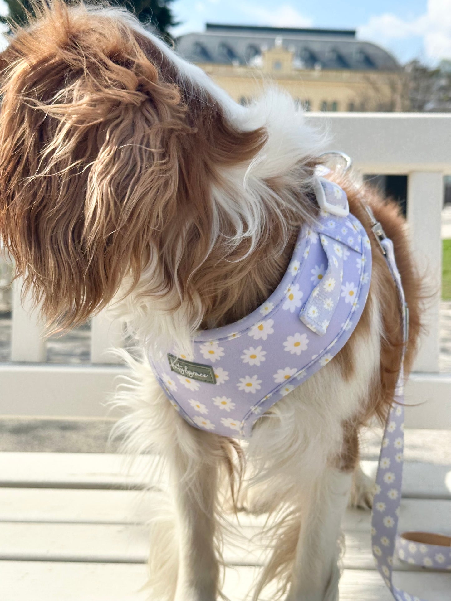Adjustable Harness - Lilac Daisy
