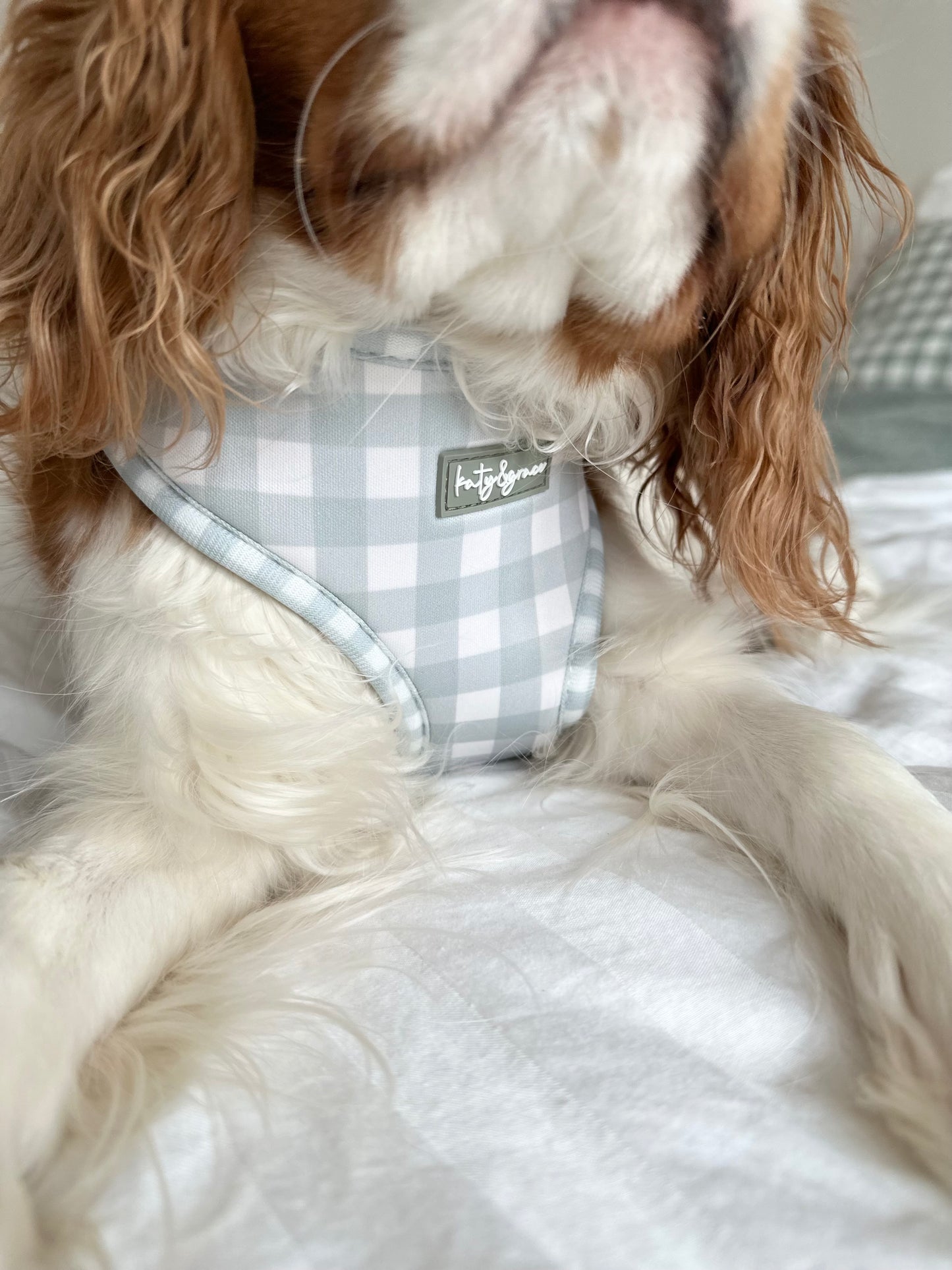 Adjustable Harness - Countryside