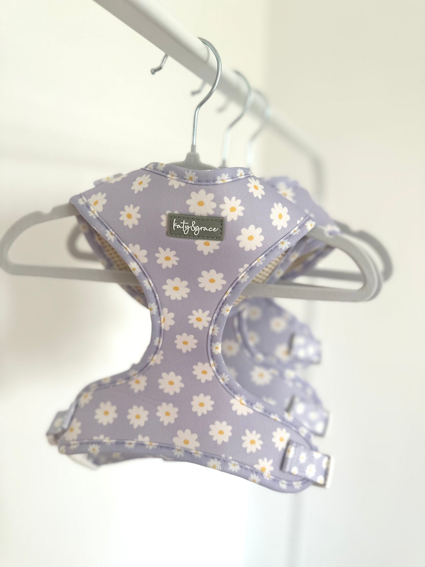 Set Lilac Daisy