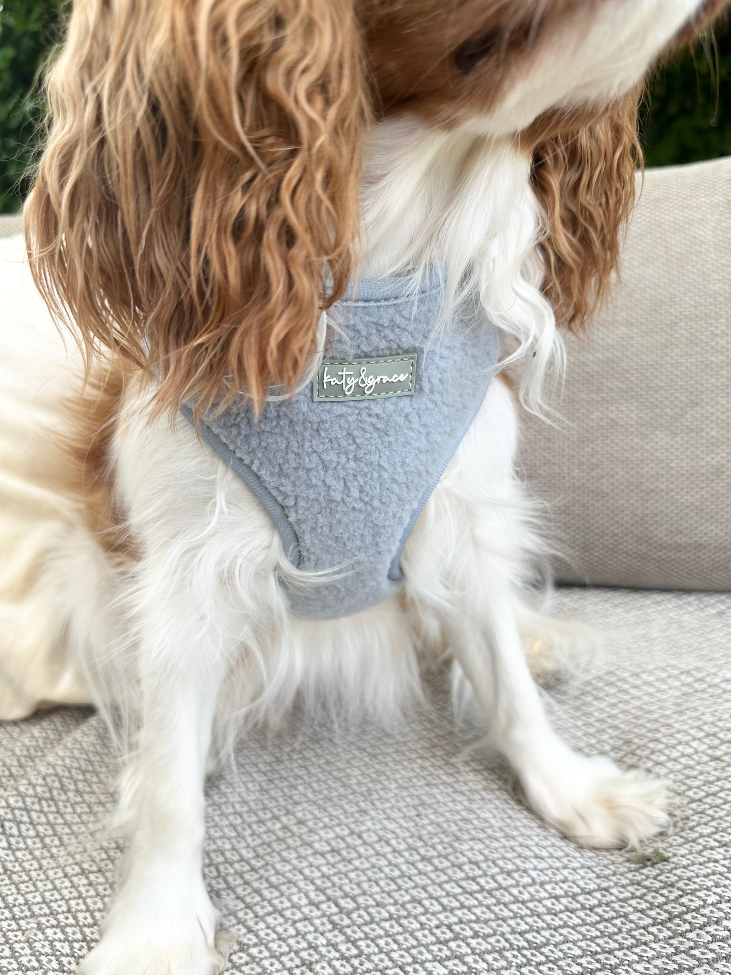 Adjustable Harness - Cozy Teddy frosty blue