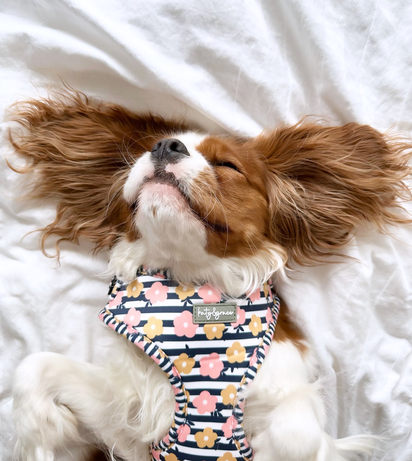 Adjustable Harness - Katy&Grace