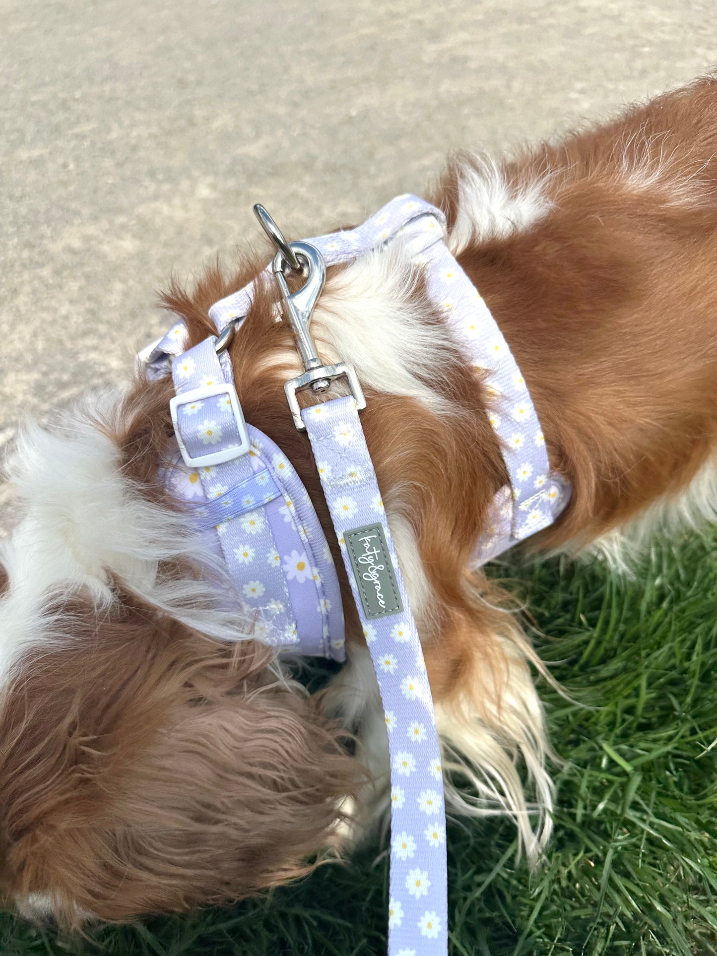 Adjustable Harness - Lilac Daisy