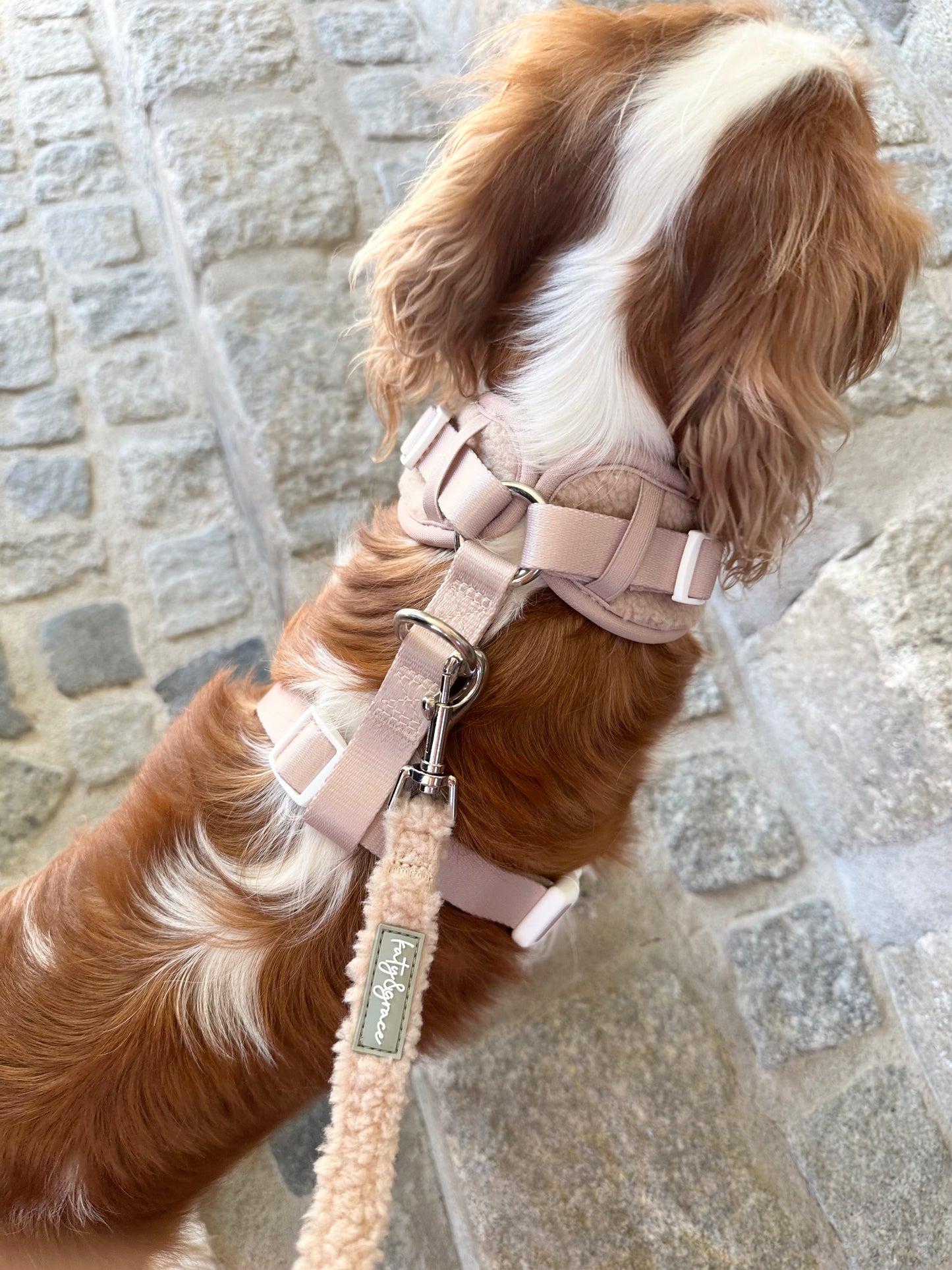 Adjustable Harness - Cozy Teddy warm sand