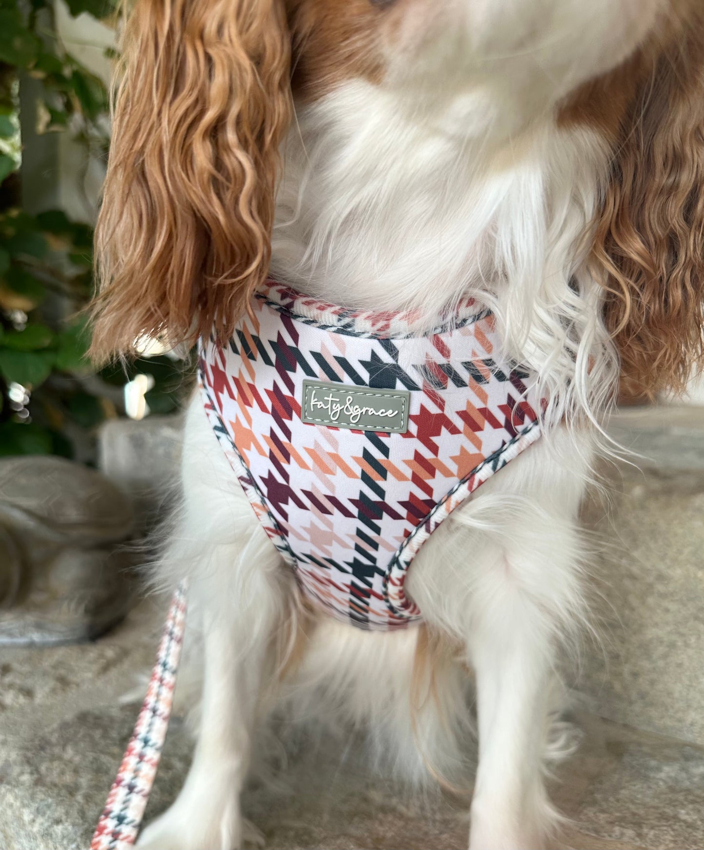 Adjustable Harness - Classic Hound
