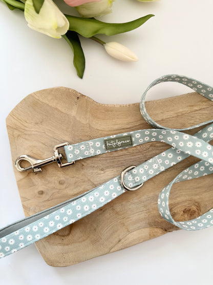 Leash - Sage Daisy