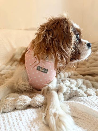 Adjustable Harness - Sweet Polkadot