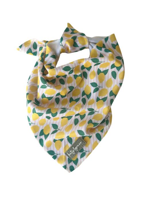 Bandana - Squeezy Lemon