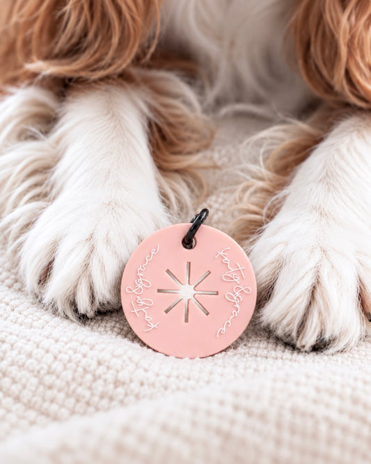 Poop Bag Handler - Powder Pink
