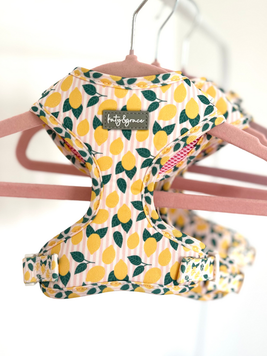 Adjustable Harness - Squeezy Lemon