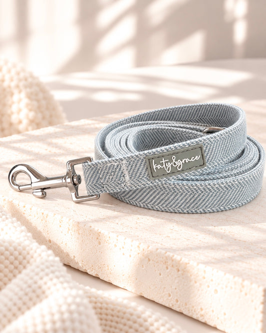 Leash - Neat Tweed