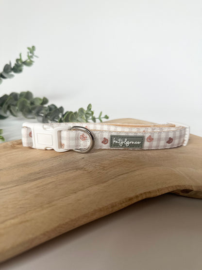 Collar - Bear Trail