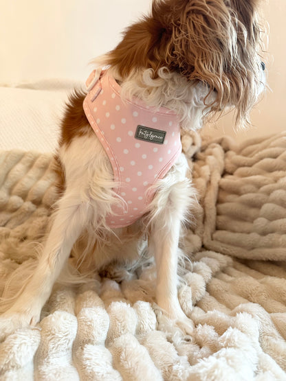 Adjustable Harness - Sweet Polkadot