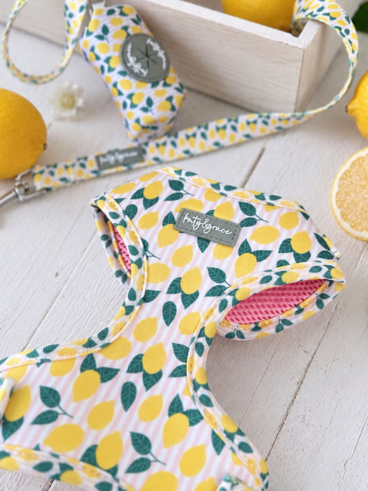 Adjustable Harness - Squeezy Lemon