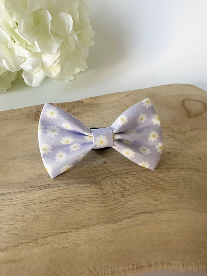 Bow - Lilac Daisy