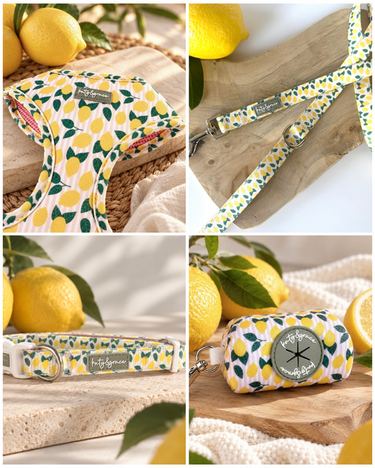Set Squeezy Lemon