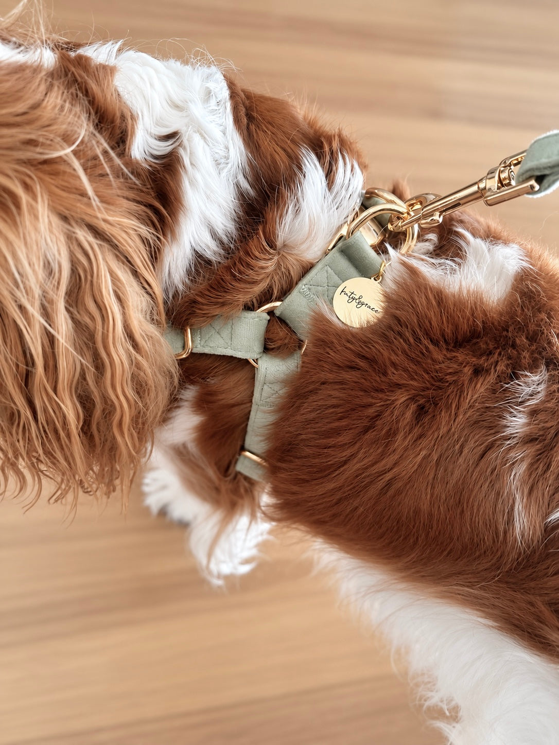 ADJUSTABLE STEP-IN HARNESS - VELVET LUXE SAGE