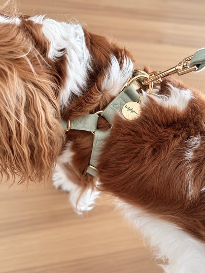 ADJUSTABLE STEP-IN HARNESS - VELVET LUXE SAGE