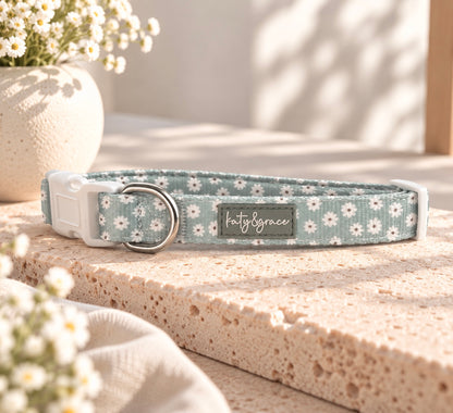 Set Sage Daisy