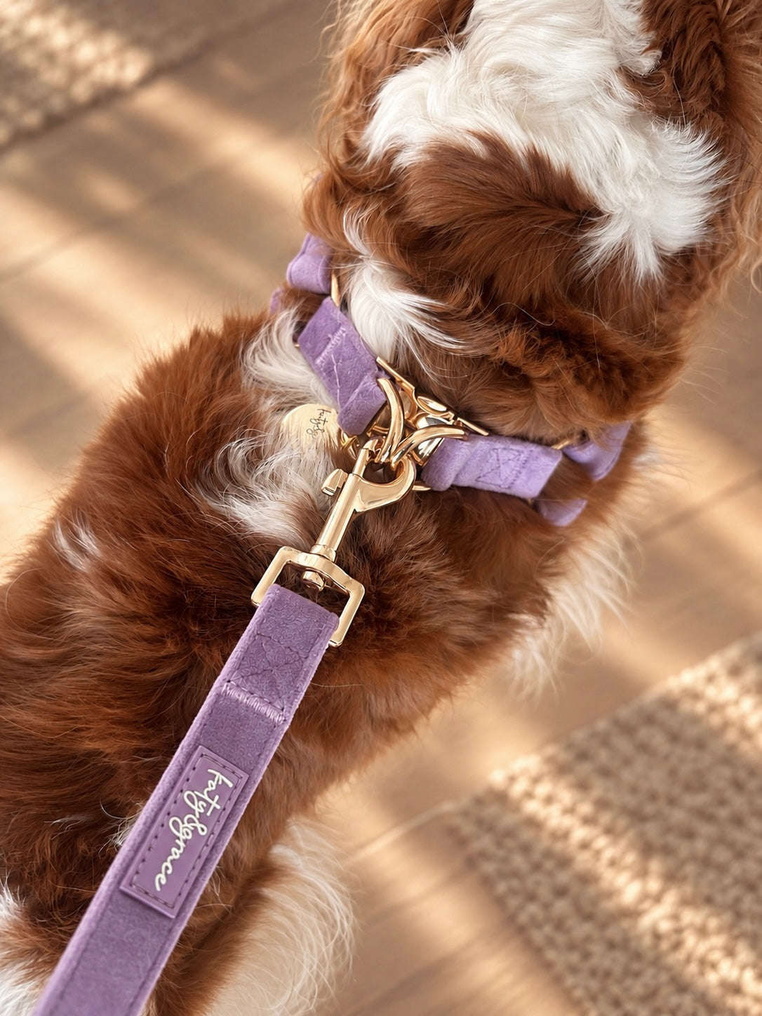 ADJUSTABLE STEP-IN HARNESS - VELVET LUXE LAVENDER