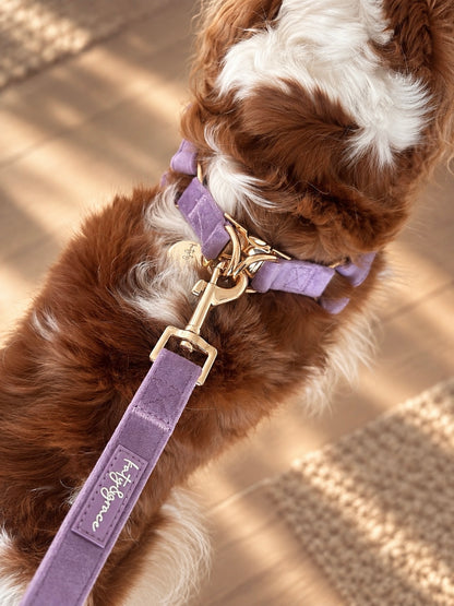 ADJUSTABLE STEP-IN HARNESS - VELVET LUXE LAVENDER