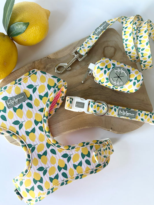 Set Squeezy Lemon