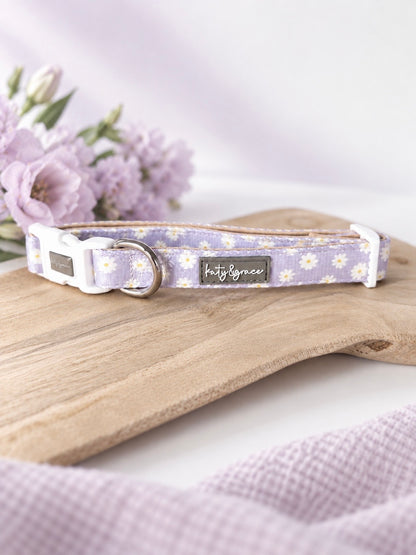 Collar - Lilac Daisy