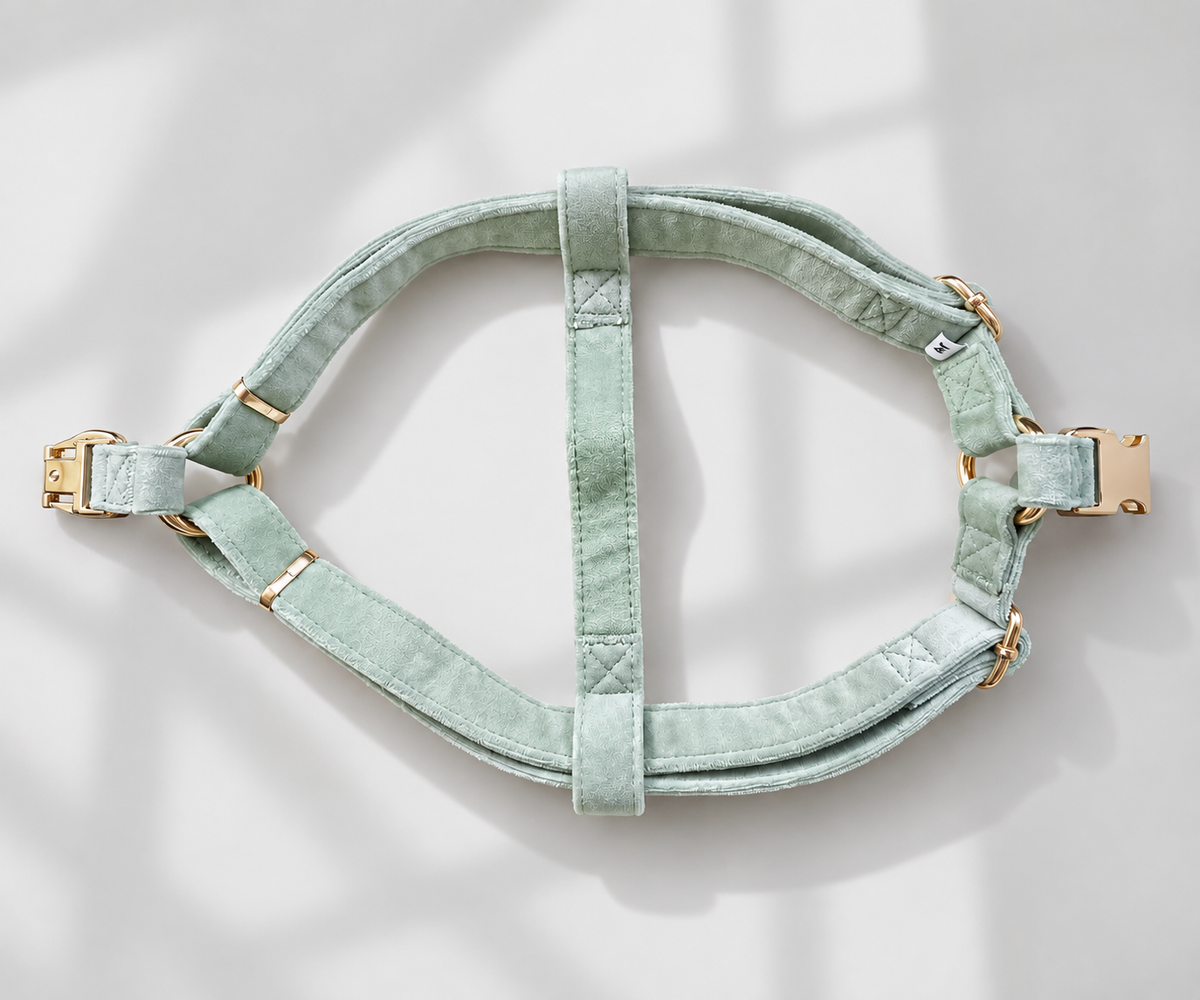 ADJUSTABLE STEP-IN HARNESS - VELVET LUXE SAGE