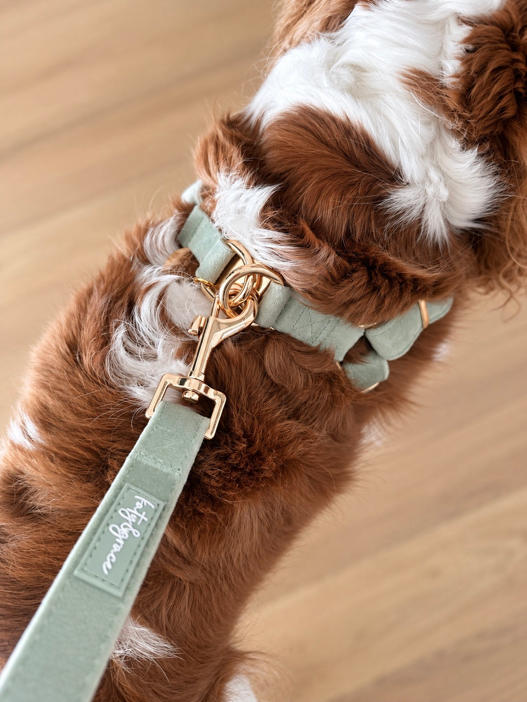 ADJUSTABLE STEP-IN HARNESS - VELVET LUXE SAGE