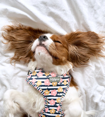 Adjustable Harness - Katy&Grace