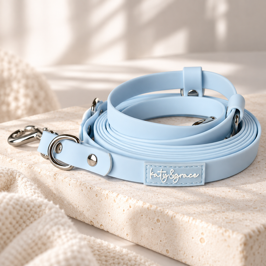 Hands-Free Leash - puppy blue