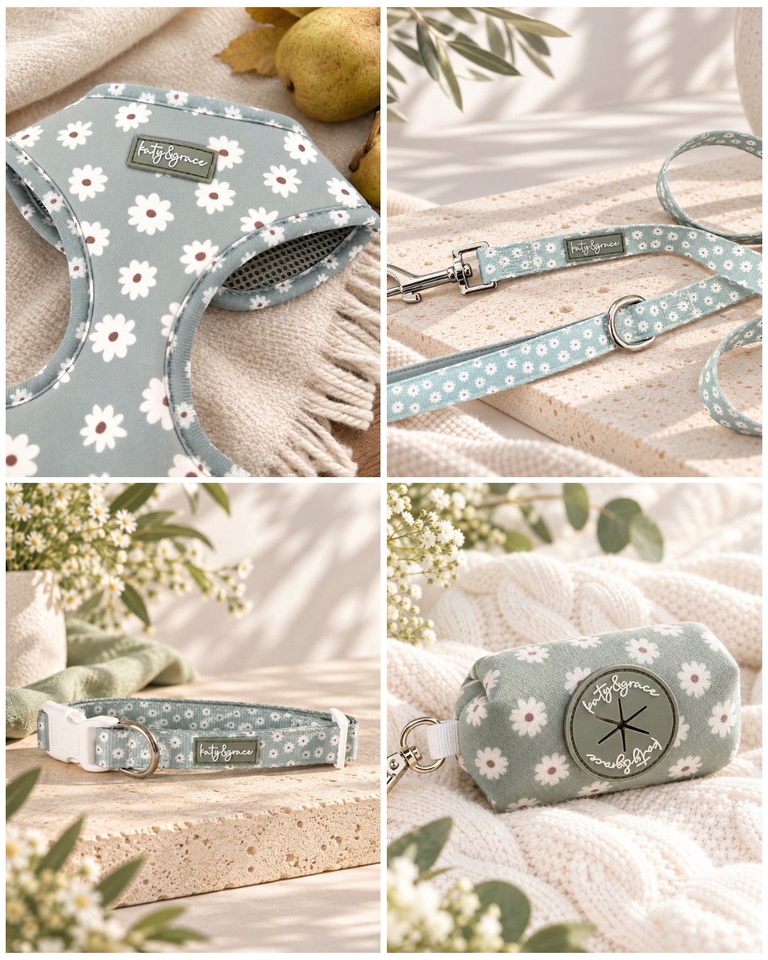 Set Sage Daisy
