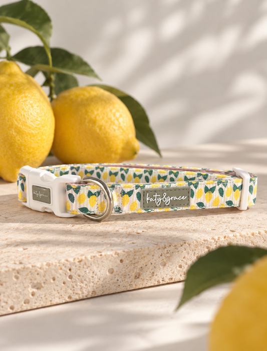 Collar - Squeezy Lemon