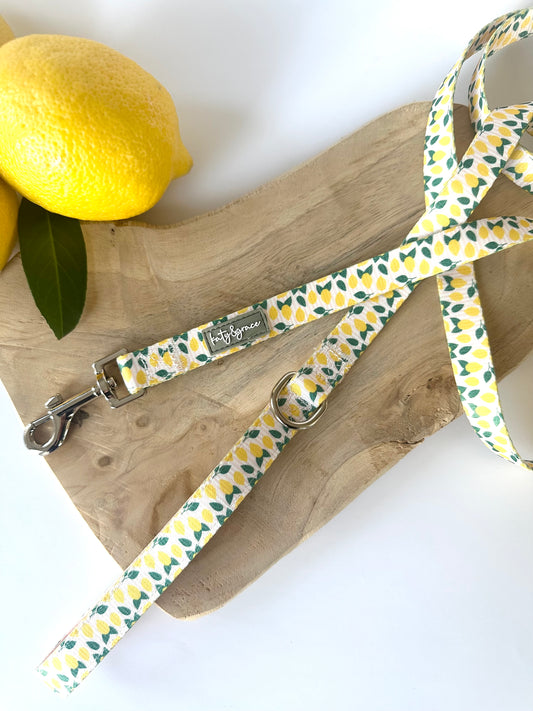 Leash - Squeezy Lemon