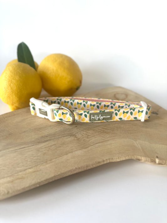 Collar - Squeezy Lemon