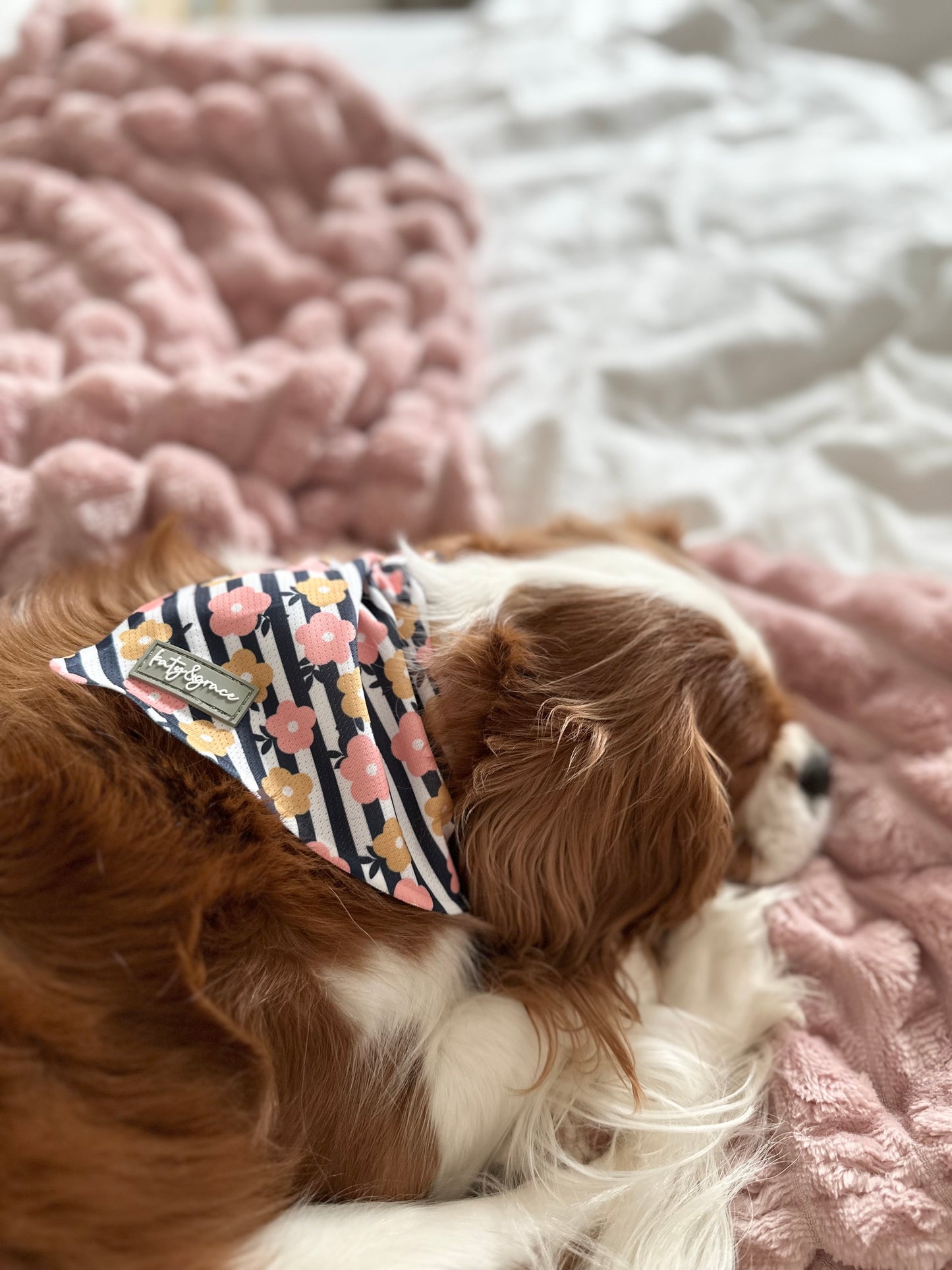 Bandana - Katy&Grace