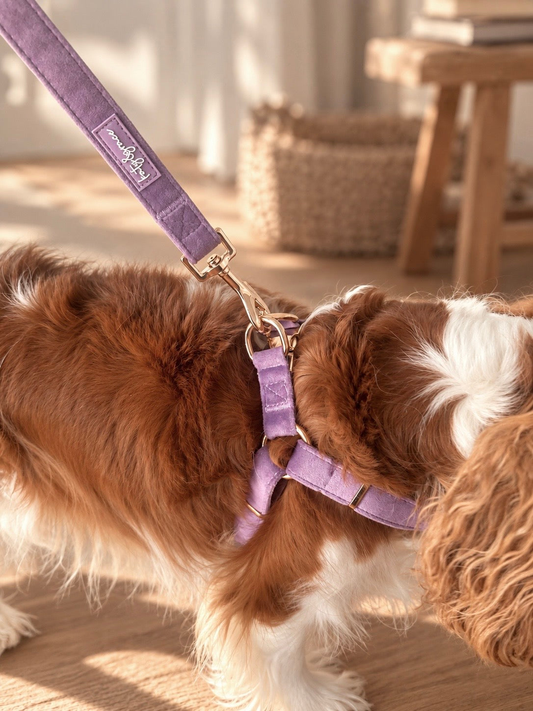 ADJUSTABLE STEP-IN HARNESS - VELVET LUXE LAVENDER