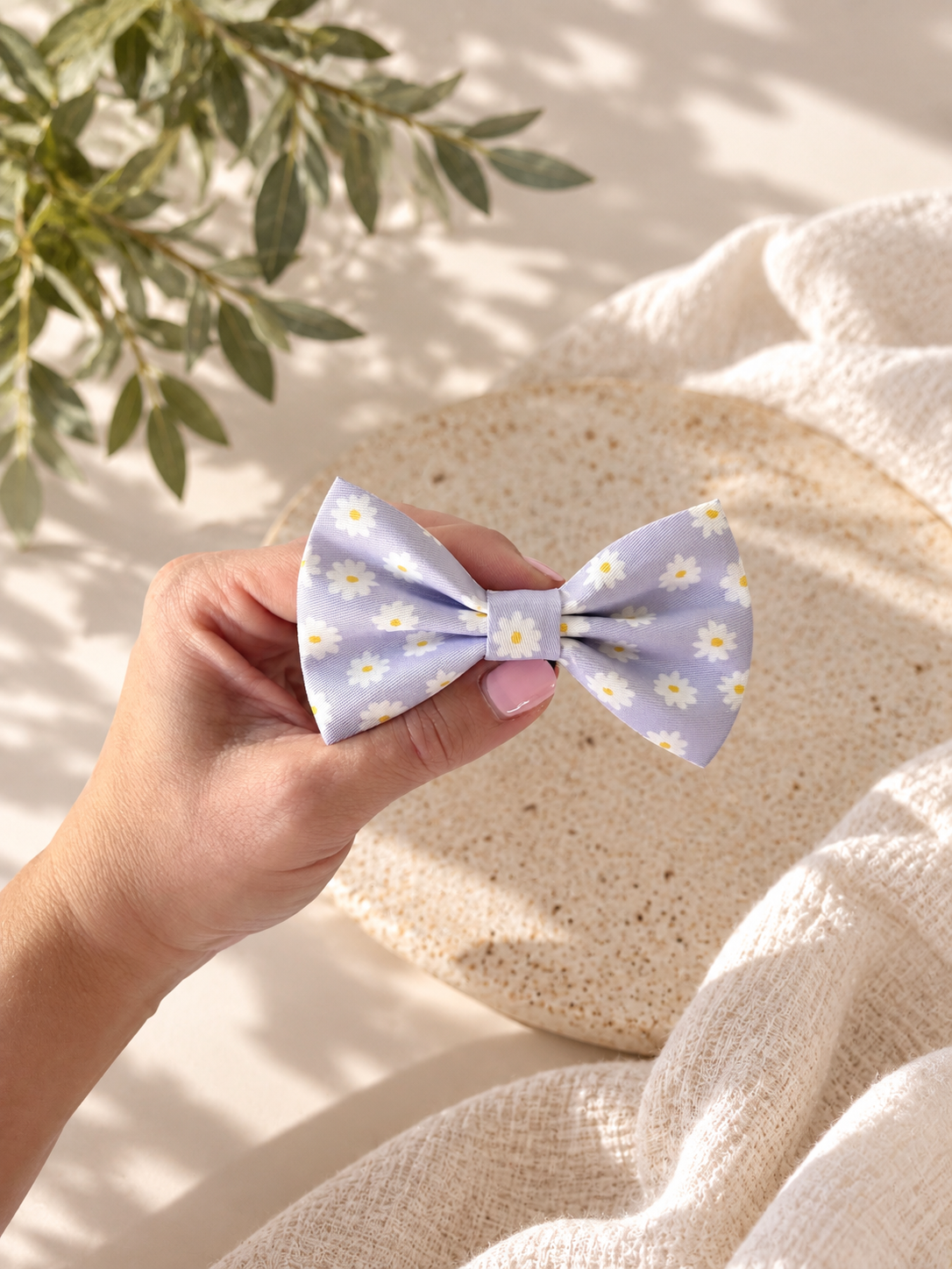 Bow - Lilac Daisy